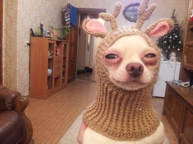 Daily Picdump [WEEKEND EDITION]