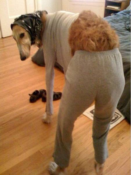 Someone Please Kill Me