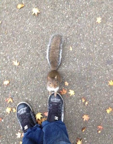 Daily Picdump [WEEKEND EDITION]