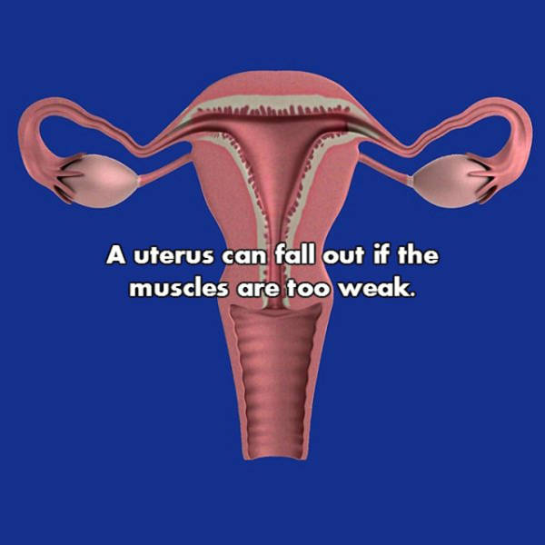 NSFW Facts That Will Blow You Away