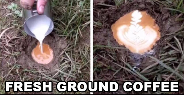 Fresh Memes Are The Fuel Internet’s Working On