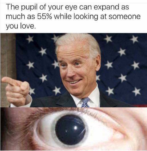 Fresh Memes Are The Fuel Internet’s Working On